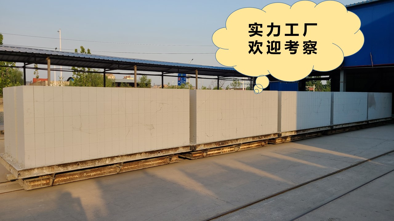 微信圖片_20231205183552.jpg